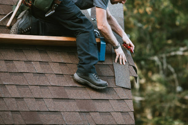 Best Roof Gutter Cleaning  in Ross, OH